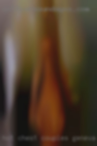 Hot chest couples sex cam chatroom in Geneva, AL. Hot chest couples sex cam chatroom in Geneva, AL.